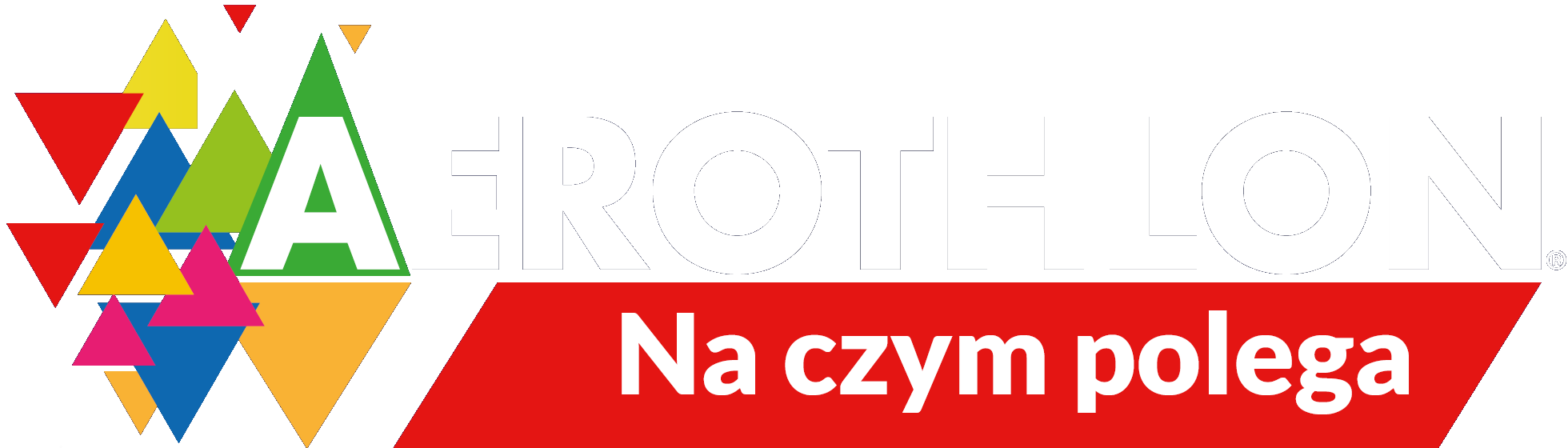 logo-naczympolega